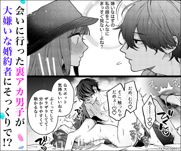 会いに行った裏アカ男子が大嫌いな婚約者で詰んだ。