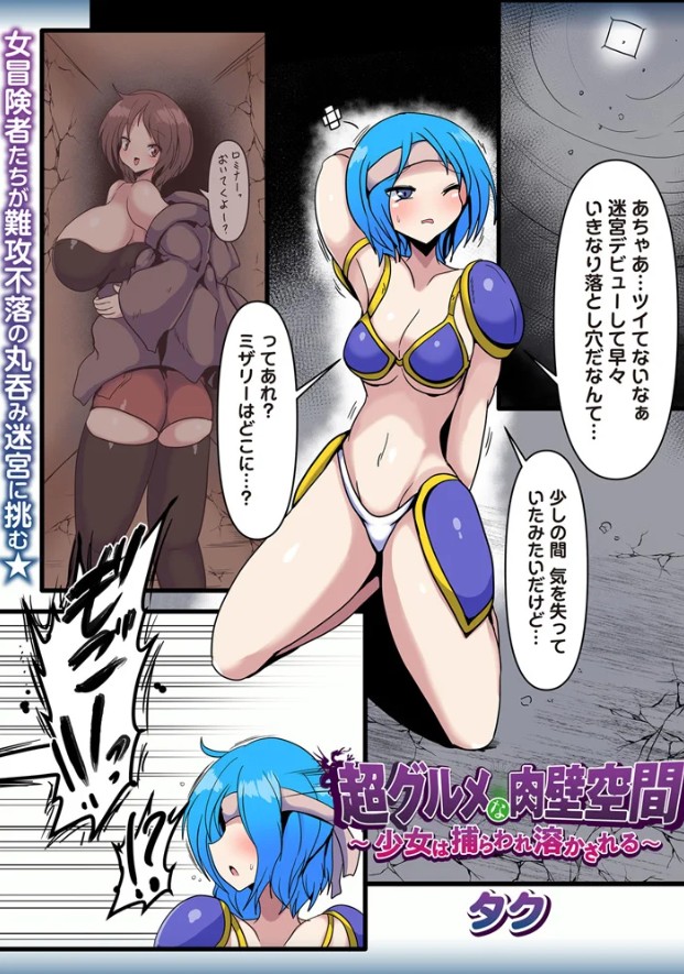 超グルメな肉壁空間～少女は捕らわれ溶かされる～