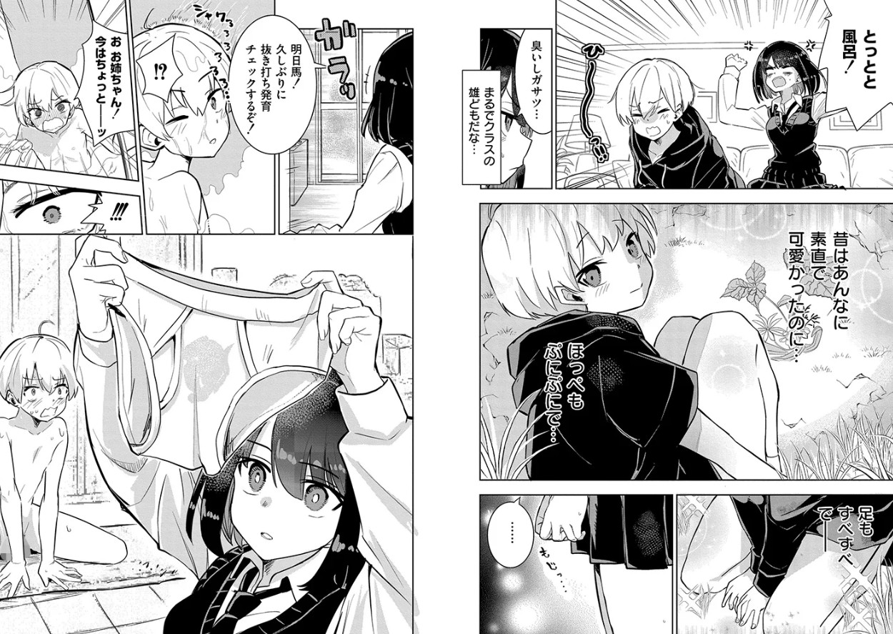 私の小さな皇帝