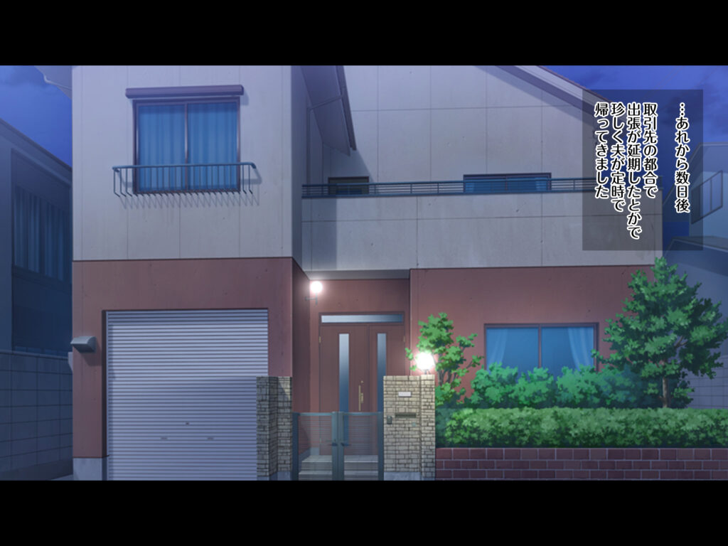 欲求不満妻 ～夫に秘密で風俗通い!?～